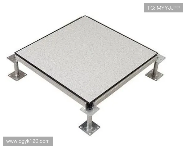 体育场馆内的防静电地板铺设技术谈